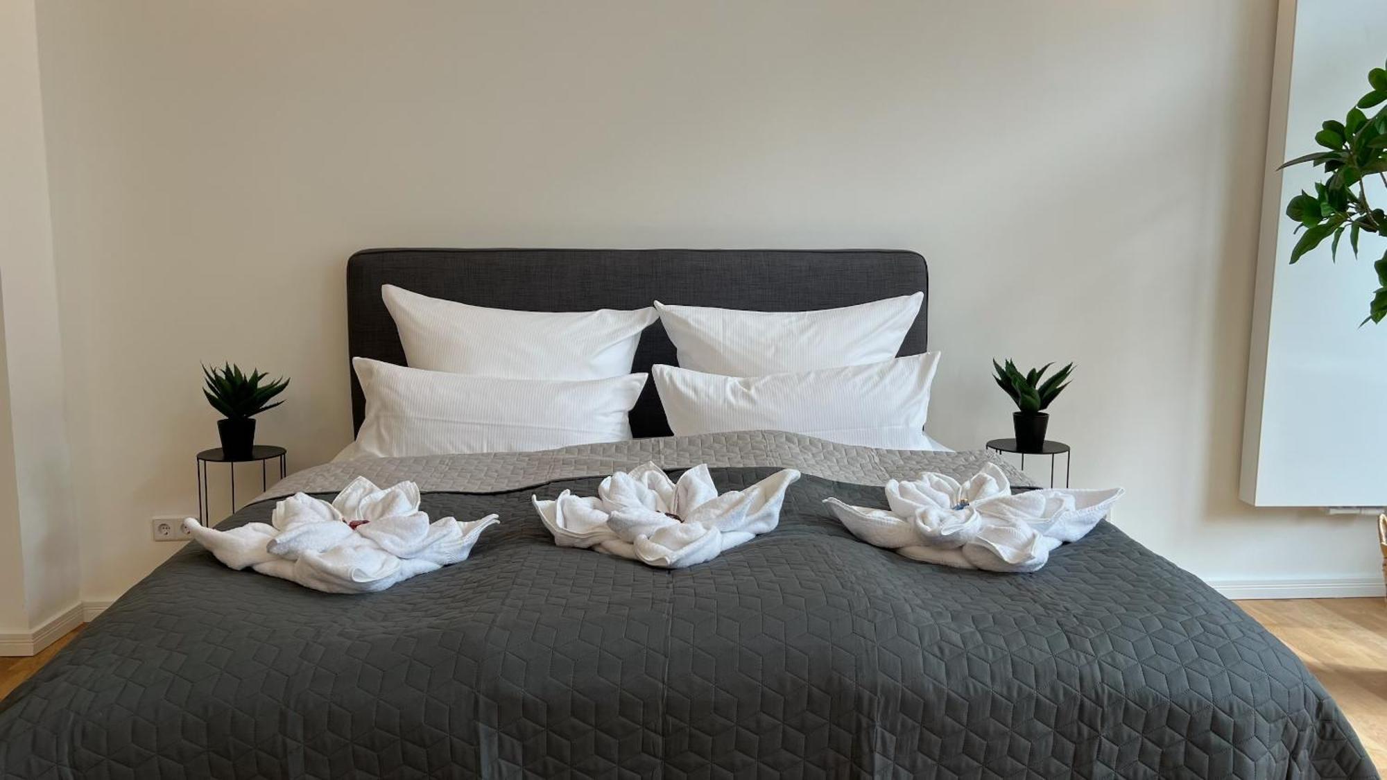 Neu! City-Loft-Apartment Im Goethe Palais I 5P I Lift I Parkplatz I Zentrum I Helios Aue  Exterior foto